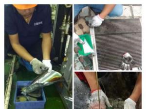 �ݗU�Չ��C(j��)�S�o(h��)���B(y��ng)